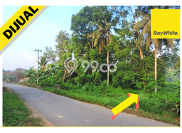 Tanah untuk Dijual Lokasi Natar, Lampung Selatan Luas 1200m2 SHM Tanah untuk Dijual Lokasi Natar, Lampung Selatan Luas 1200m2 SHM