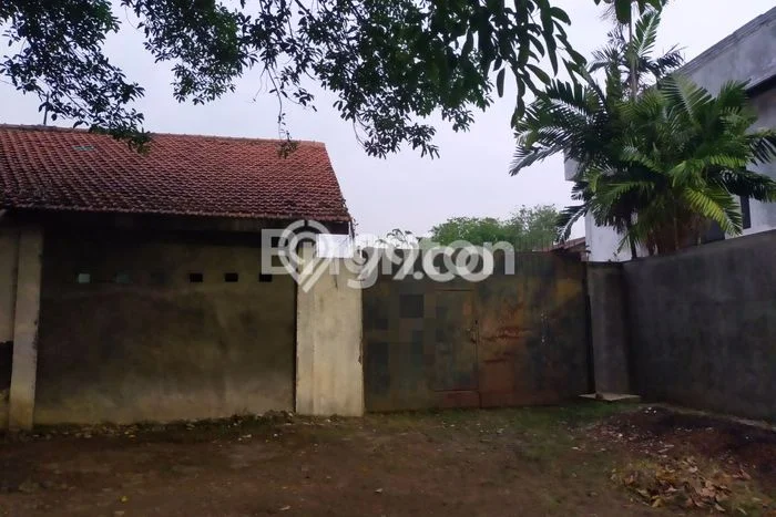 Jarang Ada! Tanah Kavling Disewakan di Semarang 920m2 Jarang Ada! Tanah Kavling Disewakan di Semarang 920m2