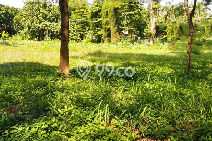 Dijual Tanah di Tangerang, Luas 3300m2 SHM Dijual Tanah di Tangerang, Luas 3300m2 SHM