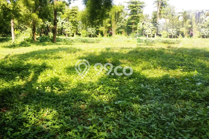 Dijual Tanah di Tangerang, Luas 3300m2 SHM Dijual Tanah di Tangerang, Luas 3300m2 SHM