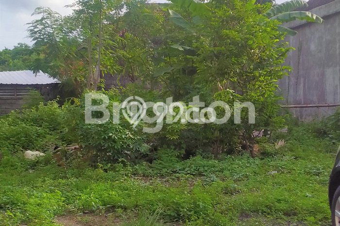 Tanah Kavling Dijual di Badung dengan Spesifikasi 300m2 Tanah Kavling Dijual di Badung dengan Spesifikasi 300m2