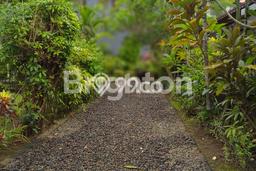 HARGA MENARIK! Tanah Kawasan Nusa Dua, Luas 1350m², Area Asri HARGA MENARIK! Tanah Kawasan Nusa Dua, Luas 1350m², Area Asri