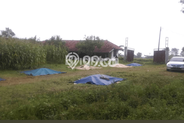 Lahan Kosong Dijual di Cibogo, Subang, Luas 350000m2 Area Strategis Lahan Kosong Dijual di Cibogo, Subang, Luas 350000m2 Area Strategis