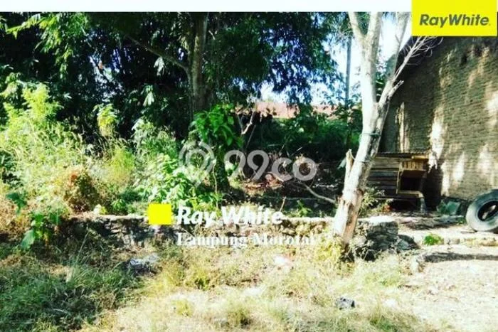 LOKASI PREMIUM! Tanah di Tanjung Karang Timur, Luas 4105m2m², Cocok untuk Investasi LOKASI PREMIUM! Tanah di Tanjung Karang Timur, Luas 4105m2m², Cocok untuk Investasi