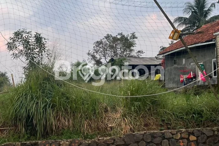 Jarang Ada! Tanah di Ciampea Punya Luas 597m2 SHM Jarang Ada! Tanah di Ciampea Punya Luas 597m2 SHM