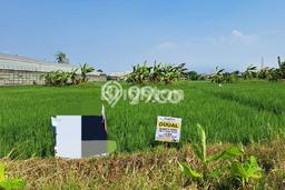 Kavling Tanah Dijual di Sidoarjo Sidoarjo Spesifikasi 13890m2 Kavling Tanah Dijual di Sidoarjo Sidoarjo Spesifikasi 13890m2