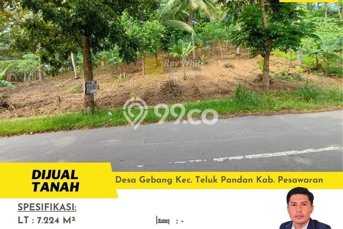 Tanah Dijual Lokasi Punduh Pidada, Pesawaran dengan Luas Tanah 7224m2 dan Status SHM Tanah Dijual Lokasi Punduh Pidada, Pesawaran dengan Luas Tanah 7224m2 dan Status SHM