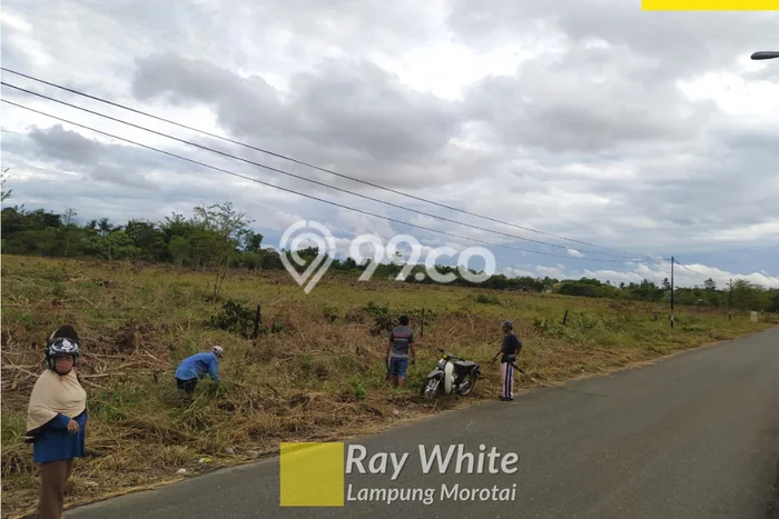 Lahan Dijual Lokasi Strategis di Banjar Baru dengan Luas 40000m2 Lahan Dijual Lokasi Strategis di Banjar Baru dengan Luas 40000m2