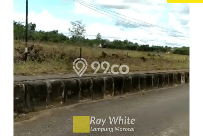 Lahan Dijual Lokasi Strategis di Banjar Baru dengan Luas 40000m2 Lahan Dijual Lokasi Strategis di Banjar Baru dengan Luas 40000m2