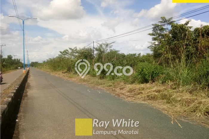 Lahan Dijual Lokasi Strategis di Banjar Baru dengan Luas 40000m2 Lahan Dijual Lokasi Strategis di Banjar Baru dengan Luas 40000m2