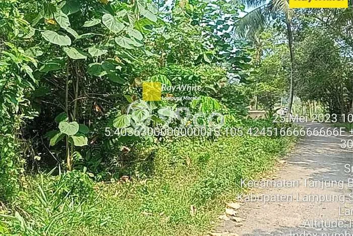 Jual Tanah di Tanjung Bintang, Luas 1119m2m², Area Potensial, Kontur Datar Jual Tanah di Tanjung Bintang, Luas 1119m2m², Area Potensial, Kontur Datar