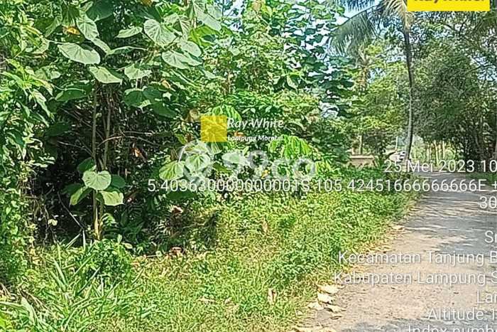 Jual Tanah di Tanjung Bintang, Luas 1119m2m², Area Potensial, Kontur Datar Jual Tanah di Tanjung Bintang, Luas 1119m2m², Area Potensial, Kontur Datar