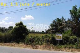 Tanah di Tampan, Pekanbaru Luas 20259m2 Dijual Segera Tanah di Tampan, Pekanbaru Luas 20259m2 Dijual Segera