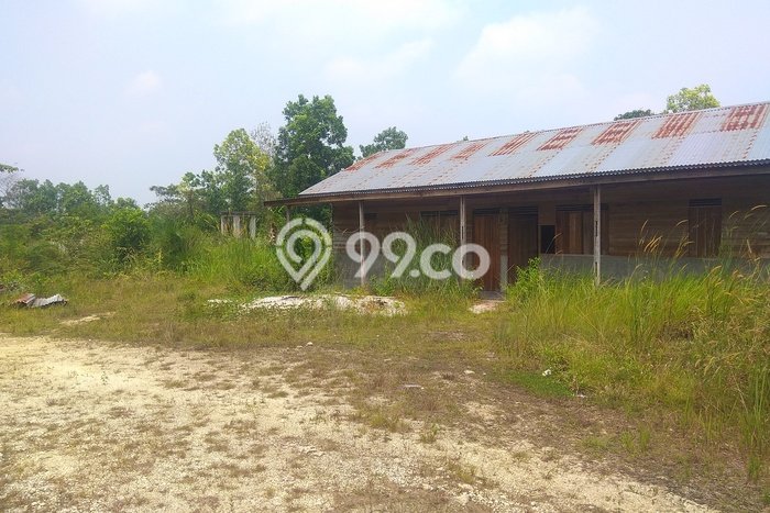 Lahan Investasi Lokasi Tapung Kampar SHM Lahan Investasi Lokasi Tapung Kampar SHM