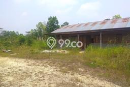 Lahan Investasi Lokasi Tapung Kampar SHM Lahan Investasi Lokasi Tapung Kampar SHM