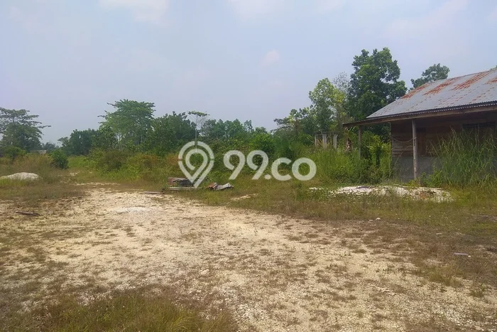 Lahan Investasi Lokasi Tapung Kampar SHM Lahan Investasi Lokasi Tapung Kampar SHM