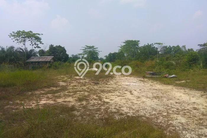 Lahan Investasi Lokasi Tapung Kampar SHM Lahan Investasi Lokasi Tapung Kampar SHM