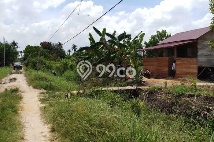 Tanah di Tapung, Kampar Luas 37050m2 Dijual Segera Tanah di Tapung, Kampar Luas 37050m2 Dijual Segera