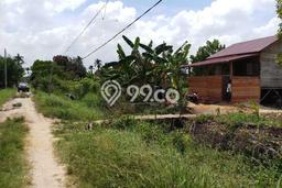 Tanah di Tapung, Kampar Luas 37050m2 Dijual Segera Tanah di Tapung, Kampar Luas 37050m2 Dijual Segera