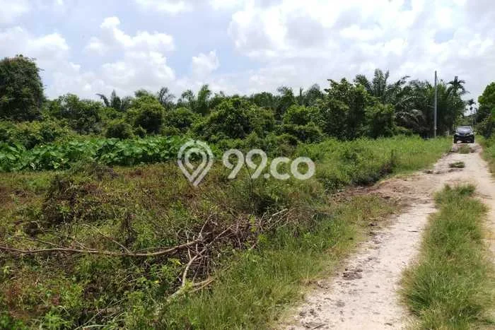 Tanah di Tapung, Kampar Luas 37050m2 Dijual Segera Tanah di Tapung, Kampar Luas 37050m2 Dijual Segera