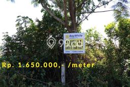 Lahan untuk Dijual Lokasi Tampan, Pekanbaru Luas 5748m2 SHM Lahan untuk Dijual Lokasi Tampan, Pekanbaru Luas 5748m2 SHM