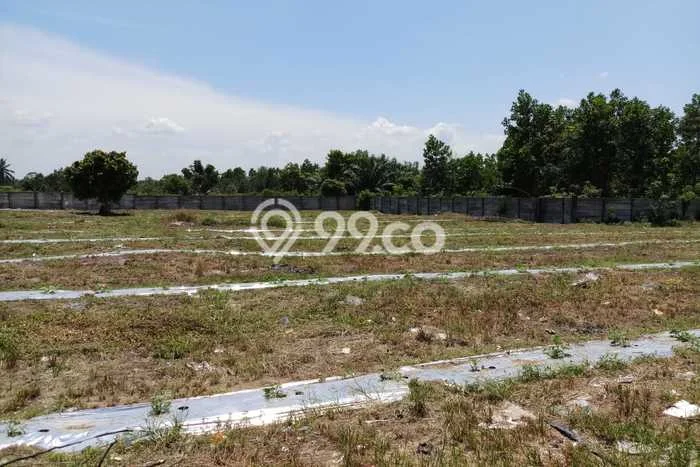 Lahan untuk Dijual Lokasi Tampan, Pekanbaru Luas 5748m2 SHM Lahan untuk Dijual Lokasi Tampan, Pekanbaru Luas 5748m2 SHM