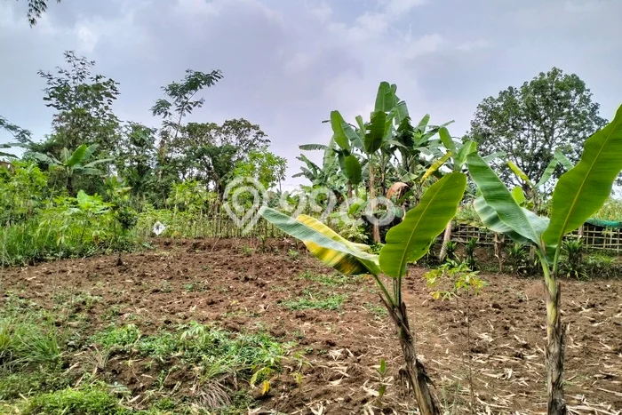 Jarang Ada! Tanah di Cihampelas Punya Luas 7320m2 SHM Jarang Ada! Tanah di Cihampelas Punya Luas 7320m2 SHM