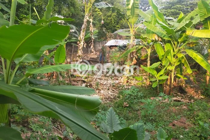 Tanah Kavling Dijual di Semarang dengan Spesifikasi 1675m2 Tanah Kavling Dijual di Semarang dengan Spesifikasi 1675m2