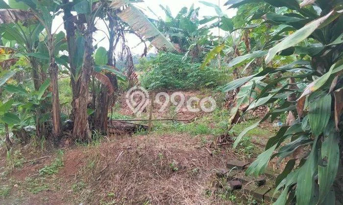 Tanah Komersial Dijual di Pandeglang Pandeglang 10000m2 Tanah Komersial Dijual di Pandeglang Pandeglang 10000m2
