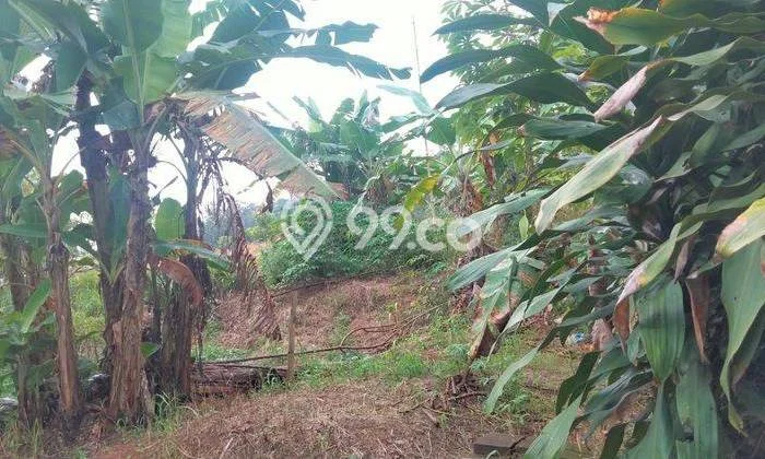 Tanah Komersial Dijual di Pandeglang Pandeglang 10000m2 Tanah Komersial Dijual di Pandeglang Pandeglang 10000m2