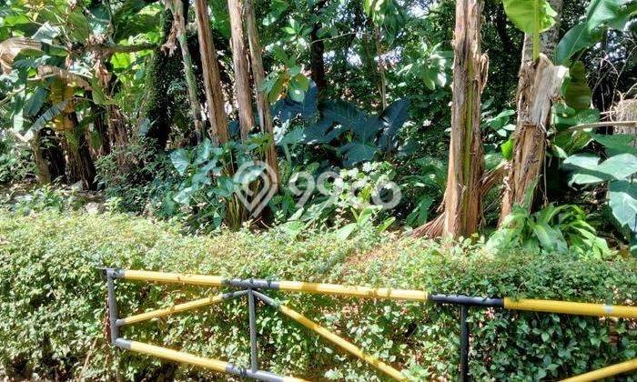 Tanah Kavling Dijual di Cireundeu, Tangerang dengan Luas Tanah 500m2 Tanah Kavling Dijual di Cireundeu, Tangerang dengan Luas Tanah 500m2