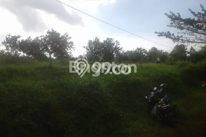 Tanah Komersial Dijual di Dau Malang 5434m2 Tanah Komersial Dijual di Dau Malang 5434m2