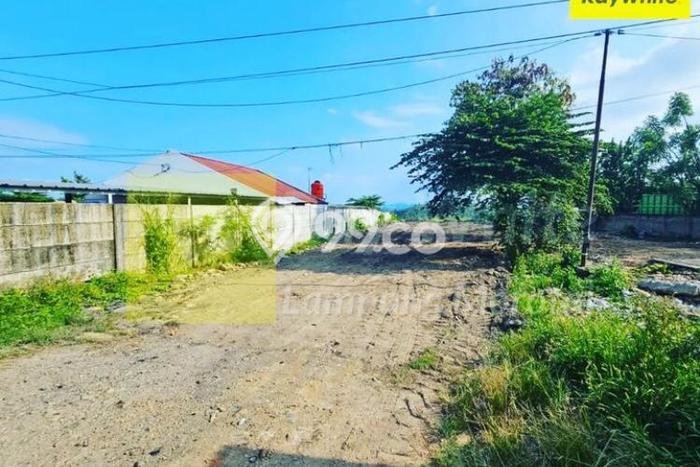 Tanah Komersial Kawasan Panjang, Luas 3m2m², Lokasi Strategis Tanah Komersial Kawasan Panjang, Luas 3m2m², Lokasi Strategis