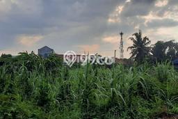 Tanah Dijual Lokasi Medan Tuntungan, Medan dengan Luas Tanah 903m2 dan Status SHM Tanah Dijual Lokasi Medan Tuntungan, Medan dengan Luas Tanah 903m2 dan Status SHM