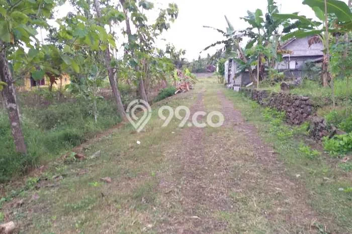 Tanah Kosong Dijual di Kulon Progo dengan Area 233m2 Tanah Kosong Dijual di Kulon Progo dengan Area 233m2