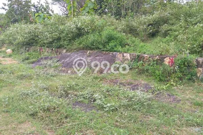 Tanah Kosong Dijual di Kulon Progo dengan Area 233m2 Tanah Kosong Dijual di Kulon Progo dengan Area 233m2