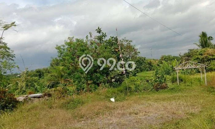 Tanah di Polanharjo, Klaten Luas 1905m2 Dijual Segera Tanah di Polanharjo, Klaten Luas 1905m2 Dijual Segera