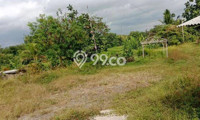 Tanah di Polanharjo, Klaten Luas 1905m2 Dijual Segera Tanah di Polanharjo, Klaten Luas 1905m2 Dijual Segera