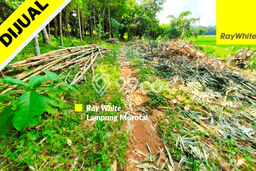 Dijual Tanah Lokasi Gading Rejo, Tanggamus Seluas 4402m2 Dijual Tanah Lokasi Gading Rejo, Tanggamus Seluas 4402m2