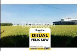 Kavling Tanah di Babat Dijual Luas 19000m2 Legalitas SHM Kavling Tanah di Babat Dijual Luas 19000m2 Legalitas SHM