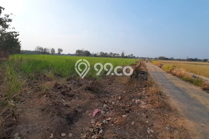 Kavling Tanah di Ngemplak Dijual Luas 7509m2 Legalitas SHM Kavling Tanah di Ngemplak Dijual Luas 7509m2 Legalitas SHM