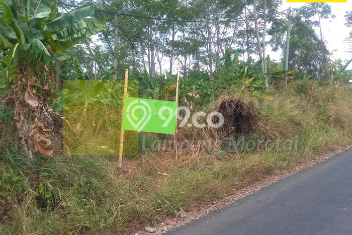 Tanah di Tanjung Karang Barat, Luas 487m2m², Area Potensial, Kawasan Asri Tanah di Tanjung Karang Barat, Luas 487m2m², Area Potensial, Kawasan Asri