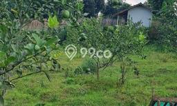 Lahan Strategis di Cisarua Dijual dengan Luas 50000m2 Lahan Strategis di Cisarua Dijual dengan Luas 50000m2