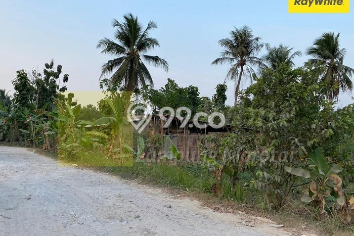 Tanah Strategis Dijual di Natar Lampung Selatan 11355m2 Tanah Strategis Dijual di Natar Lampung Selatan 11355m2