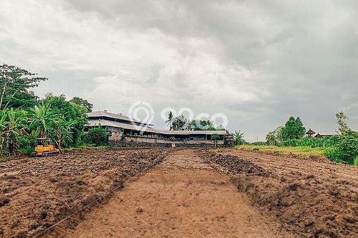 Tanah Kawasan Sukawati, Luas 100m², Area Komersial Tanah Kawasan Sukawati, Luas 100m², Area Komersial