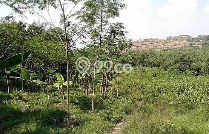 Jarang Ada! Tanah di Rangkasbitung Punya Luas 17570m2 SHM Jarang Ada! Tanah di Rangkasbitung Punya Luas 17570m2 SHM