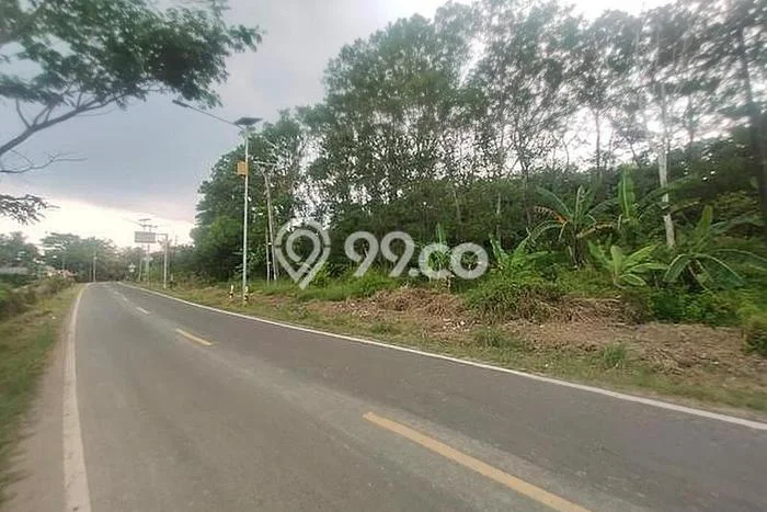 Lahan Dijual Lokasi Cigeulis, Pandeglang dengan Luas Tanah 38723m2 dan Status SHM Lahan Dijual Lokasi Cigeulis, Pandeglang dengan Luas Tanah 38723m2 dan Status SHM