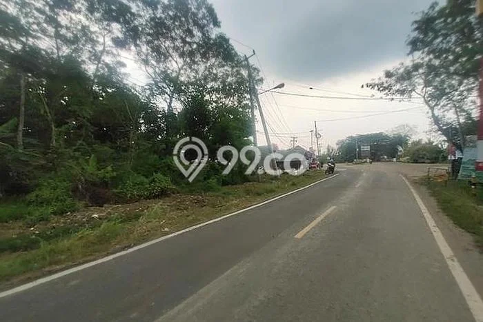 Lahan Dijual Lokasi Cigeulis, Pandeglang dengan Luas Tanah 38723m2 dan Status SHM Lahan Dijual Lokasi Cigeulis, Pandeglang dengan Luas Tanah 38723m2 dan Status SHM