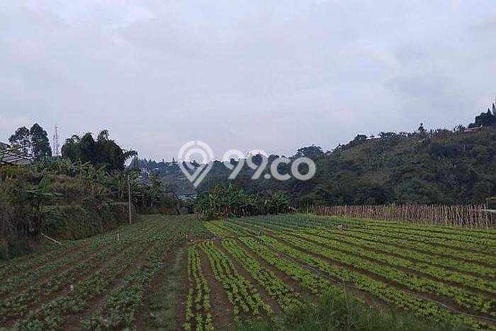 Kavling Tanah untuk Dijual di Setiabudi, Bandung, Luas 15000m2 Kavling Tanah untuk Dijual di Setiabudi, Bandung, Luas 15000m2