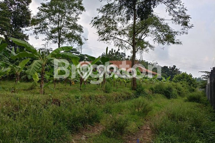 Tanah Kavling di Gringsing Dijual dengan Luas 47400m2 Tanah Kavling di Gringsing Dijual dengan Luas 47400m2